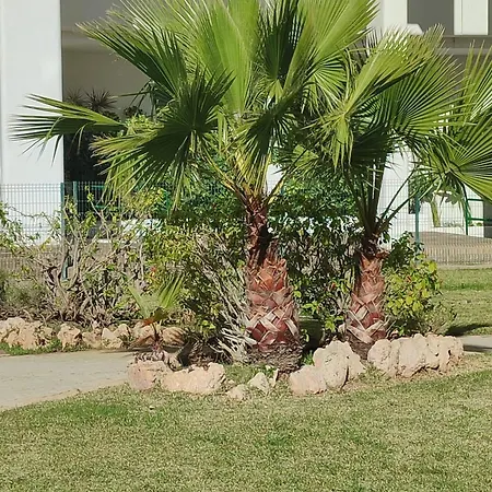 Miramar 2d Lejlighed *